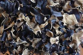 Maybe you would like to learn more about one of these? Auricularia Auricula Judae Wikiwand