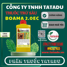 Boama 2.0EC