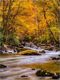 Beautiful wallpapers for mobile hd. Beautiful Wallpapers Of Nature For Mobile Wallpaper Cave Nature Wallpaper Hd For Mobile Neat