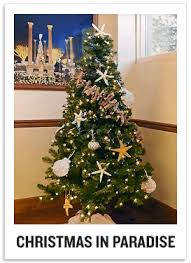 Read on for some christmas tree decorating ideas from the pros for making your tree look bigger, fuller, shinier, glitzier, and more luxurious than ever before. 4 Simple Christmas Tree Theme Decoration Ideas Virginia Parks Blog