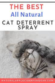 The Best All Natural Cat Deterrent Spray Recipe All Natural Home Cat Deterrent Spray Cat Deterrent Natural Cat