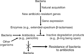 The genetic modification is accomplished by in some cases, the organisms are rendered sterile so they cannot interbreed, for the purpose of protecting patents and to prevent transgenic. Application Of New Biotechnologies For Improvements In Swine Nutrition And Pork Production Journal Of Animal Science And Biotechnology Full Text
