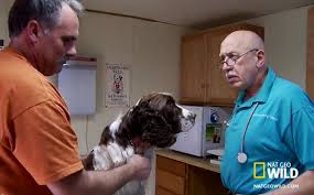 On The Incredible Dr Pol Controversy From A Fellow Country Vet Vets Pol The Incredibles