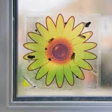 How to stop cluster flies returning. How To Get Rid Of Cluster Flies Naturally Today Disinpest