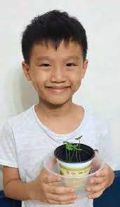 TRANSFORMATION A NATURAL