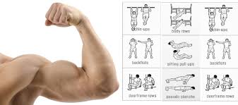 Con esta rutina de ejercicios, podrás entrenar brazos en casa, usando sólo tu propio cuerpo, y logrando un verdadero y efectivo trabajo. Ejercicios Para Biceps En Casa áŠ Sin Pesas