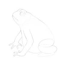 By watching our video you can easily draw a frog. How To Draw A Frog Step By Step Laptrinhx