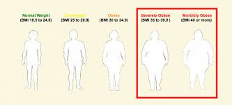 are you overweight underweight obese or at a normal weight