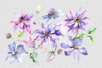Purple tulip frame flowers watercolor png. Branch Of Gentle Purple Flowers Watercolor Png By Mystocks Thehungryjpeg Com