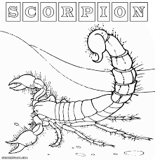 More 100 coloring pages from animal coloring pages category. Scorpion Coloring Pages Coloring Pages To Download And Print Coloring Home