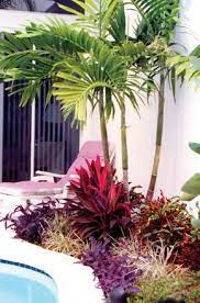 Landscape Design Expert Boca Raton Pamela Crawford Associates Front Yard Landscaping Design Landscape Design Tropical Garden Design