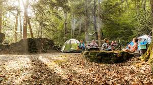 This area offers rock climbing, white water rafting, the allegheny mountains, and scott hollow cove, the lost world caverns, pipestem resort state park, and many other attractions. Campgrounds West Virginia State Parks West Virginia State Parks