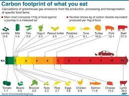 Global Food Index And Carbon Footprint Food Carbon Footprint Footprint Global Recipes