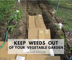 Learn how to grow a vegetable garden vegetable gardening for beginners where to put a vegetable garden what gardening tools do you need? 12 Ways To Make Weeds Go Away Naturally Life Is Just Ducky