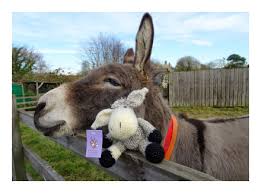 Knit new best friends for your kids with these knitting patterns for dolls, stuffed animals, dinosaurs and even small japanese monsters. Get Crafty The Donkey Sanctuary