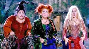 Hocus Pocus Conscious Companion Hocus Pocus Halloween Costumes Hocus Pocus Costume Halloween Costumes For Kids