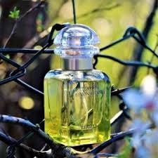 Hermès un jardin sur le toit eau de toilette mixte (2011) à partir de 45 € 05 hermès un jardin sur le nil eau de toilette mixte (2005) à partir de 46 € 99 hermès un jardin en méditerranée eau de toilette mixte (2003) à partir de 56 € 00 hermès un jardin après la mousson eau de toilette mixte (2008) à partir de 54 € 65 hermès. Hermes Le Jardin De Monsieur Li Duftbeschreibung