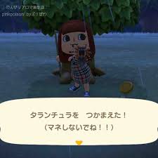 とびだせ どうぶつ の 森 タランチュラ