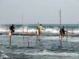 Image result for Photos fishing