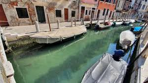 Presentación de la ciudad de venecia. Asi De Limpias Estan Las Aguas En Venecia Por Los Efectos Del Coronavirus