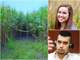 Rivera led police to the body of tibbetts in a poweshiek county cornfie. Graphic Warning Cornfield With Mollie Tibbetts Body Shown To Jury