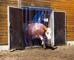 Von der pvc streifenvorhang rolle schneiden sie mühelos ihre wunschlängen für ihren pvc vorhang als streifentor, pendeltür. Pvc Vorhang 300 X 3mm Transparent 25m Rolle