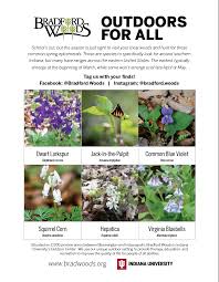 Indiana native plant and wildflower society. Home Learning School Programs Programs And Activities Bradford Woods Indiana University