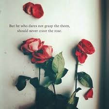 Pin By On Cards Rose Quotes Flowers Red Roses