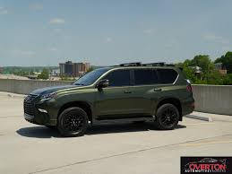 Image result for Nori Green 2023 LC