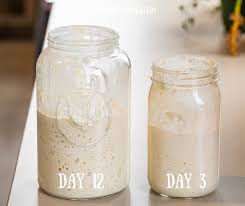 Easy Sourdough Starter I Am Homesteader Recipe Sourdough Starter Sourdough Bread Starter Sourdough