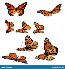 Butterfly Flying Stock Illustrations – 68,027 Butterfly Flying Stock  Illustrations, Vectors & Clipart - Dreamstime
