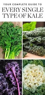 23 Best Types Of Kale Images Types Of Kale Kale