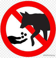 Check spelling or type a new query. Do Not Feed Dog Clipart Coyote German Shepherd Puppy Don T Feed Animals Png Image With Transparent Background Toppng