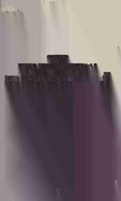 Image result for Syngonanthus longibracteatus