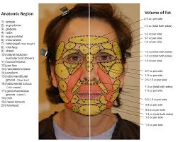 Facial Fat Grafting: Why, Where, How, and How Much?