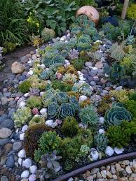 Examine This Crucial Pic As Well As Visit The Provided Ideas On Amazing Landscaping Succulent Garden Design Rock Garden Landscaping Succulent Landscaping