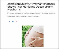 You can quit cannabis probably easier with the full spectrum. To Justify Using Weed Pregnant Women Cling To An Old And Dubious Study