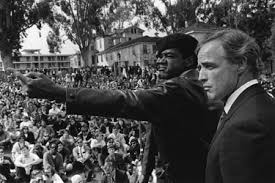 Image result for black panthers oakland