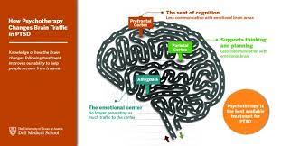The idea is to change the thought patterns that are disturbing your life. Unlocking Ptsd New Study Reveals Why Trauma Focused Psychotherapy Treatment Works Eurekalert Science News