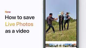 Lively turns your live photos into both gifs or videos. How To Save Live Photos As A Video On Your Iphone Ipad Or Ipod Touch Apple Support Youtube