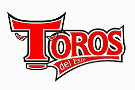 Resultado de imagen para SERIE FINAL TOROS Y ESTRELLAS DE ORIENTE