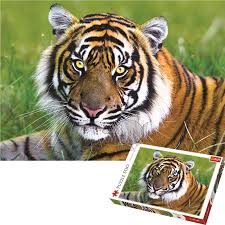 Harry potter marauders map 1000 piece jigsaw puzzle 690mm x 510mm (nm). Trefl 500 Piece Jigsaw Puzzle Tiger Ebay