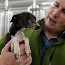 Activists, officials take