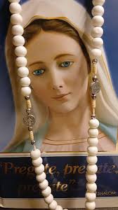 Aveva ragione il papà di Bebe Vio quando diceva alla figlia che la vita  resta bellissima, nonostante tutto. Dopo l'amputazione di tutti e quattro  gli arti a causa della meningite fulminante che