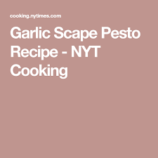 Garlic Scape Pesto Recipe Recipe Pesto Recipe Garlic Scape Pesto Scape Pesto Recipe