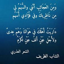 لاجل عين الف عين تكرم Arabic Poetry Arabic Words Words