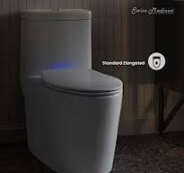 Reviews for Swiss Madison Lumiere Elongated Quick-Release ...