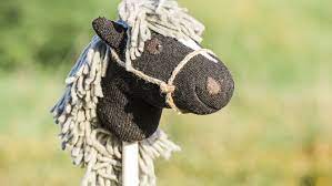 Und will mit dir feiern. Steckenpferd Einfach Selber Machen Cavallo De