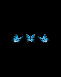 See more ideas about butterfly, butterfly aesthetic, aesthetic. Blue Butterfly Aesthetic Blue Butterflies Teen Girls Women Gift Items Digital Art By Xuan Tien Luong