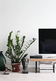 pin op decoratie